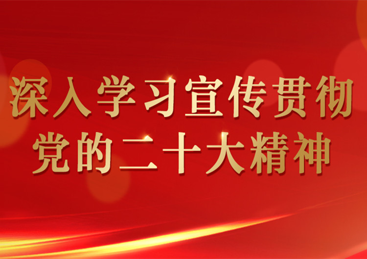 深入學習宣傳貫徹黨的二十大精神